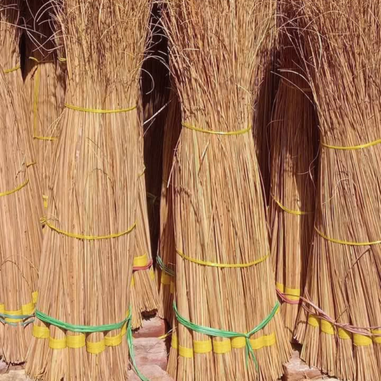 Coconut leaf stick made from natural coconut leaves for broom manufacturing