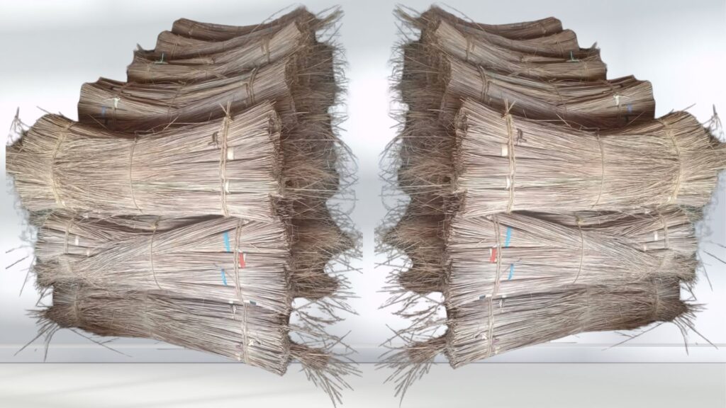 Coconut leaf stick processed and sorted for quality broom manufacturing