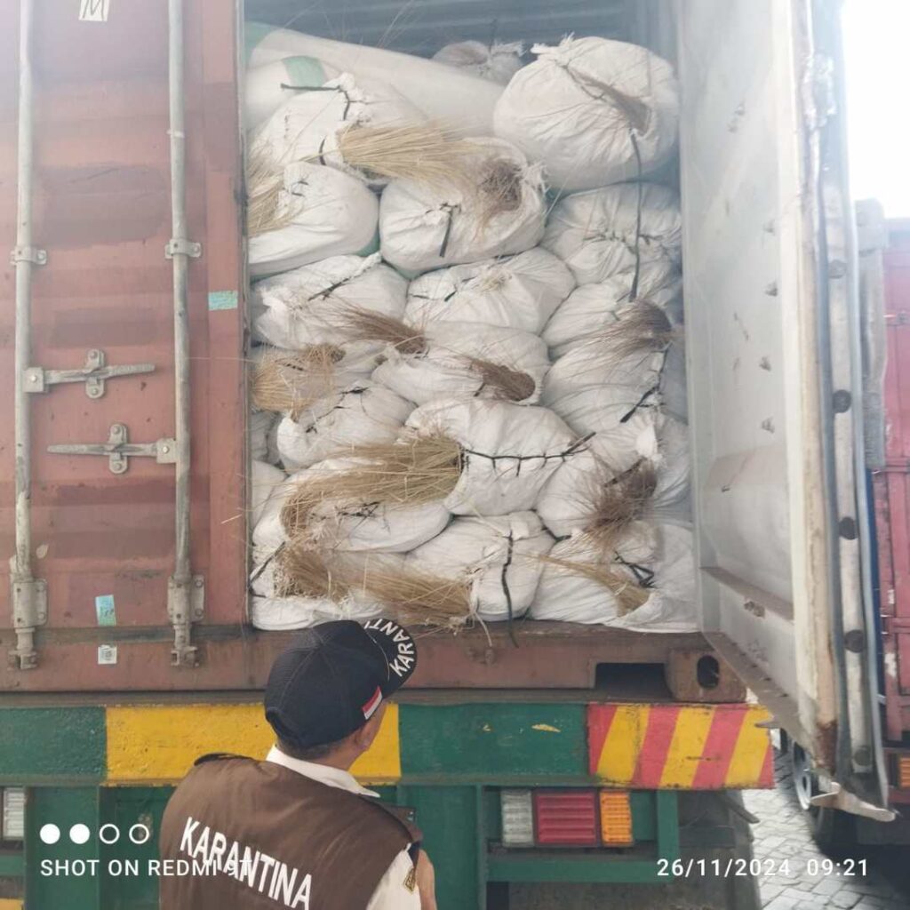 Coconut leaf stick suitable for outdoor and heavy-duty broom products