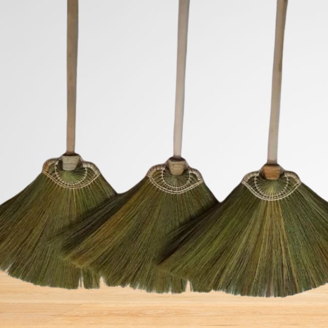 Asian broom grass used as natural material for traditional broom manufacturing
