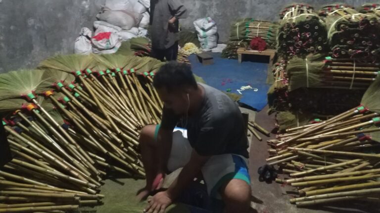 Sapu Ceblok premium