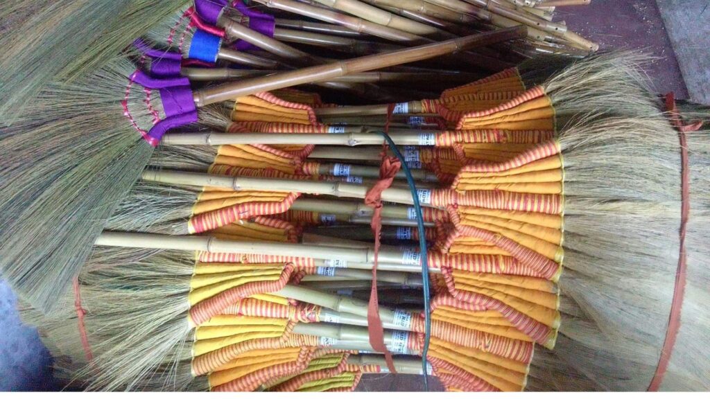 broom grass wholesale 