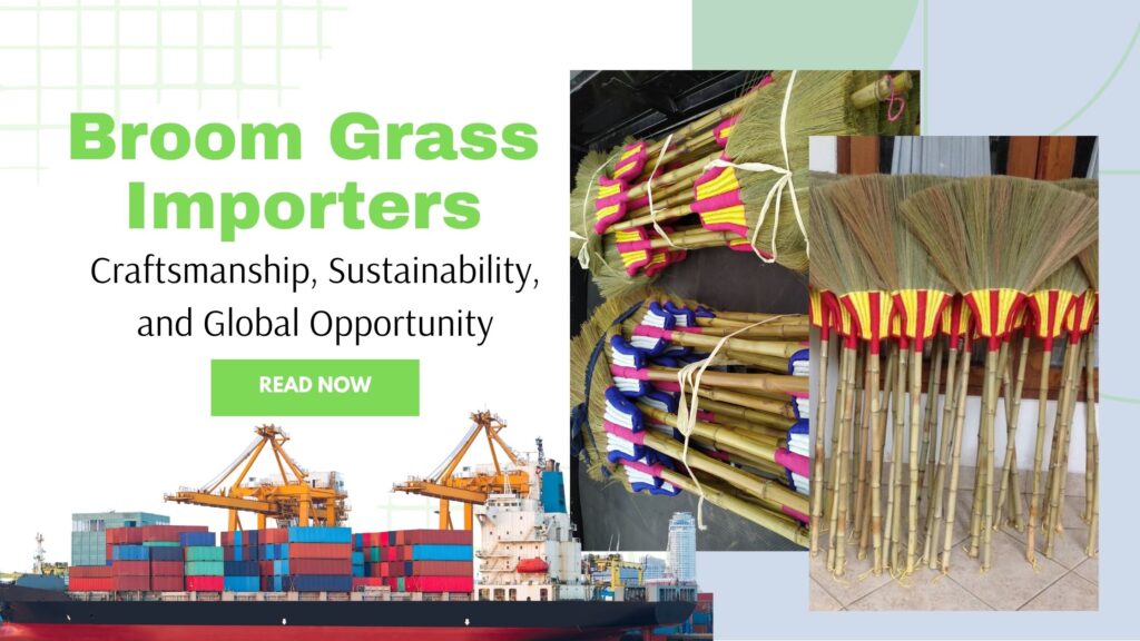 broom grass importers