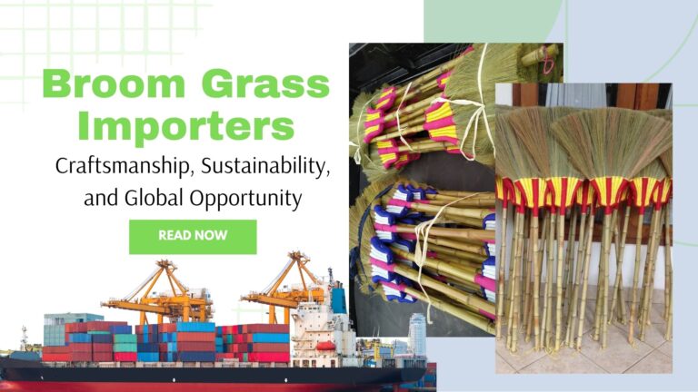 broom grass importers