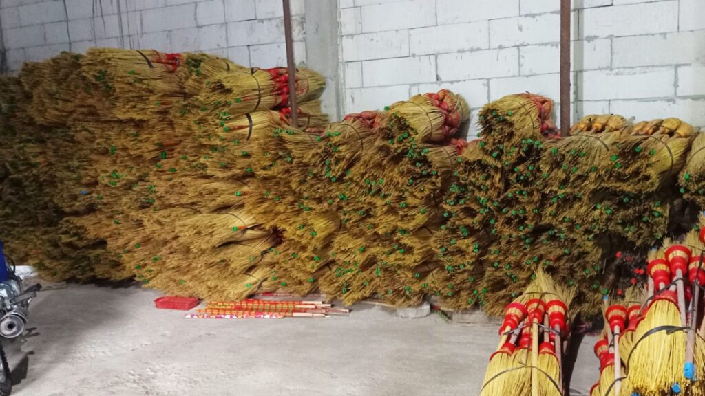 broom grass wholesale
