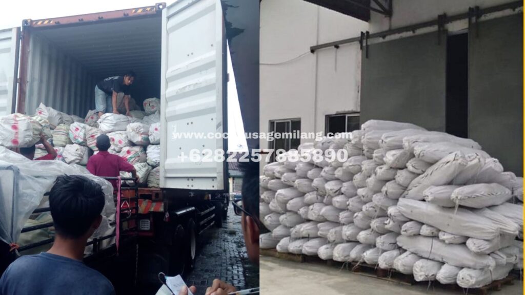 penyapu bahan semula jadi