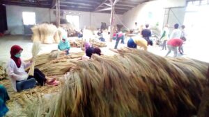 Sustainable natural broom