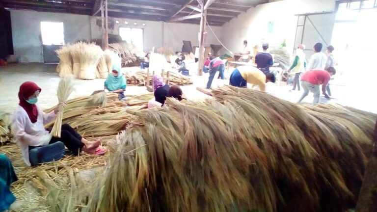 Sustainable natural broom