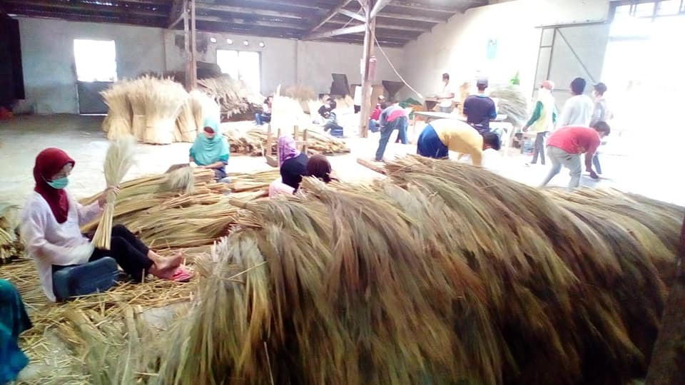 Sustainable natural broom