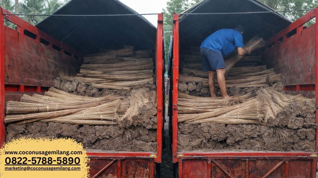 penyapu lidi daun kelapa