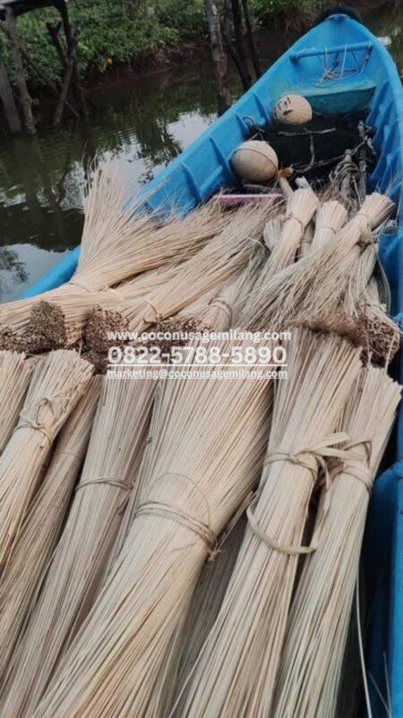 Palm Leaf Stick for Broom Industry
