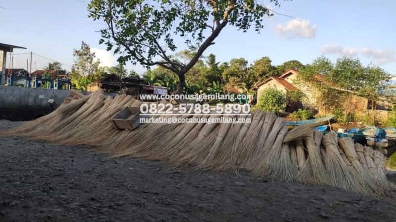 Strong and Flexible Palm Leaf Stick