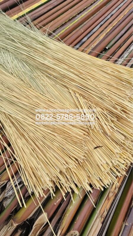 Dried Coconut Palm Leaf Stick