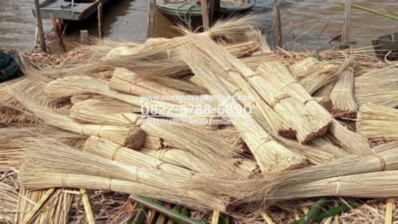 Palm Stick Broom for Outdoor Cleaning