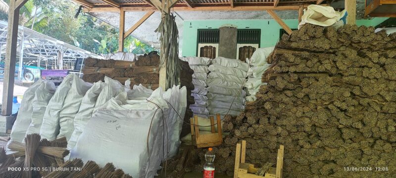 De-Kalidad na Walis Tingting Wholesale