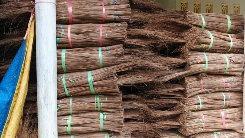 High-Quality Leaf Stick Supplier for Export