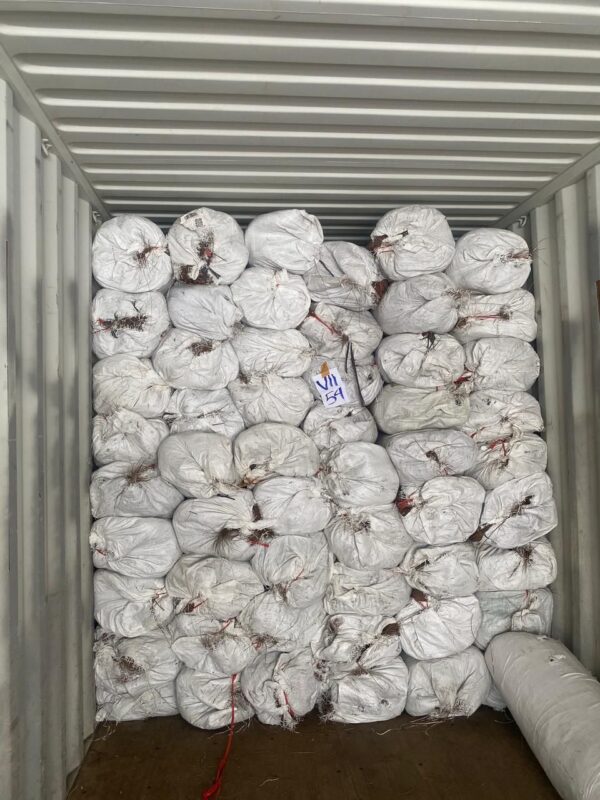 Indonesia Leaf Stick Supplier for Bulk Orders