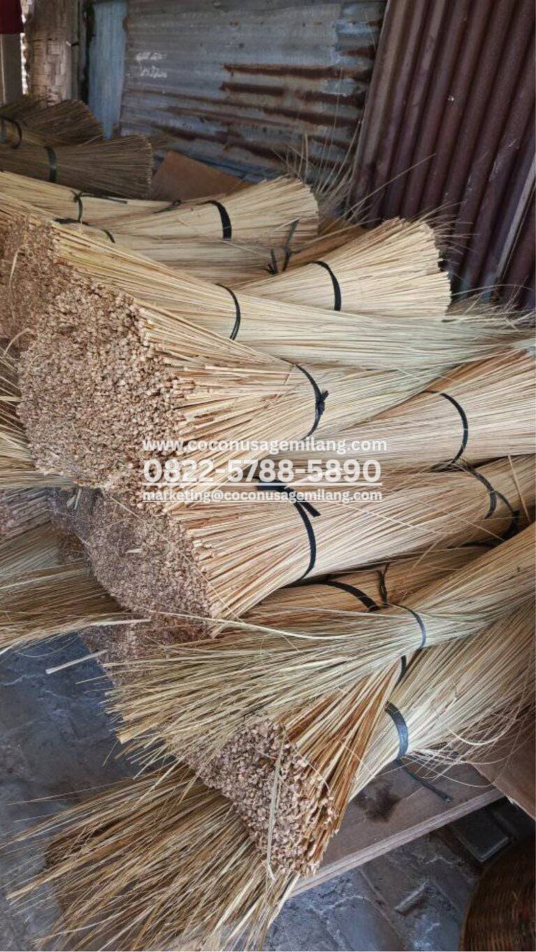 Palm Stick Broom Natural Design