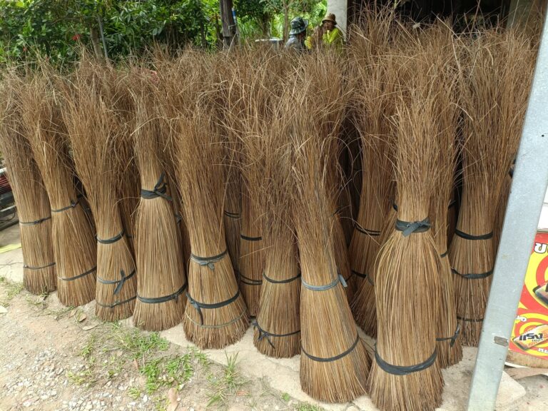 Walis Tingting Supplier sa Pilipinas