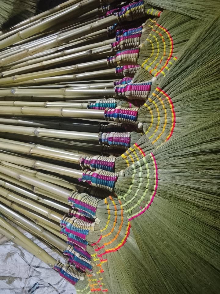 Walis tambo supplier na nagbibigay ng de-kalidad na produkto para sa wholesale