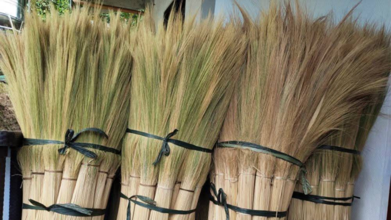 grass broom supplier