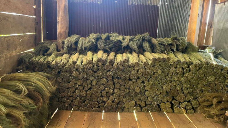 raw grass broom