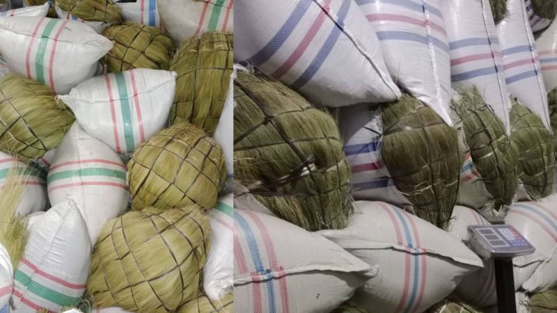 raw grass broom