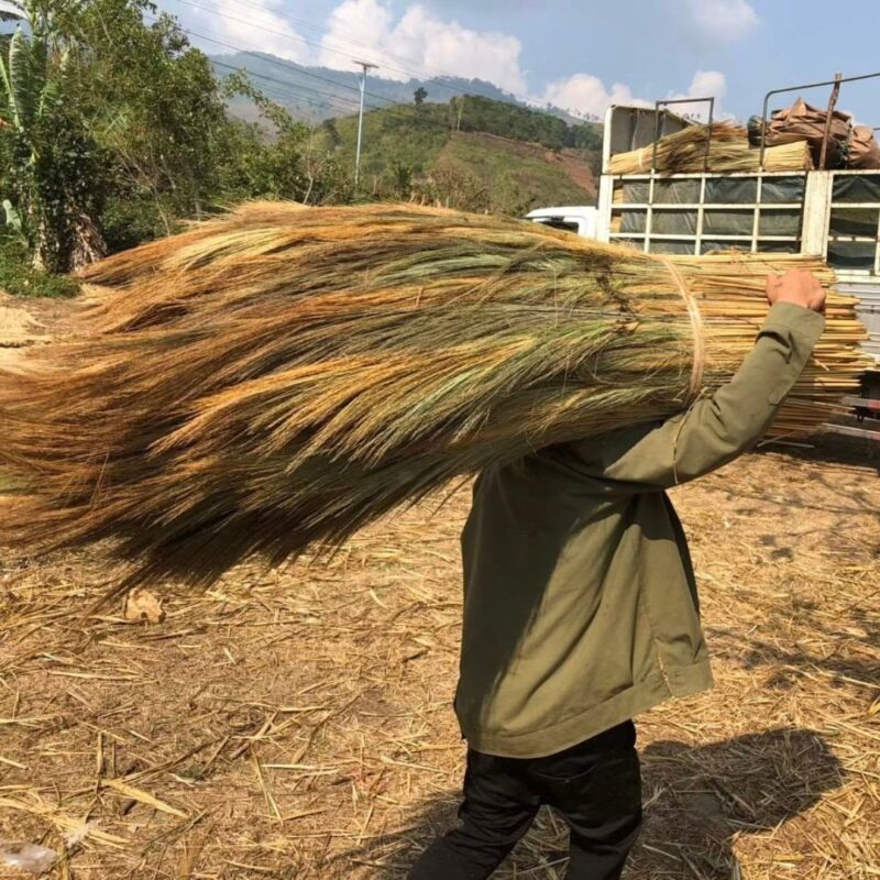 grass broom
