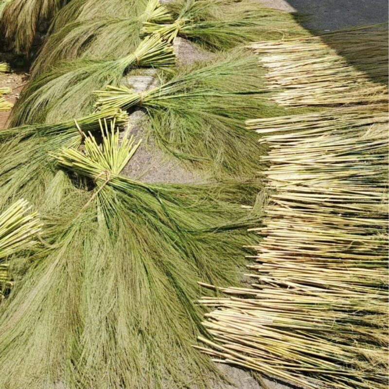Eco friendly grass broom