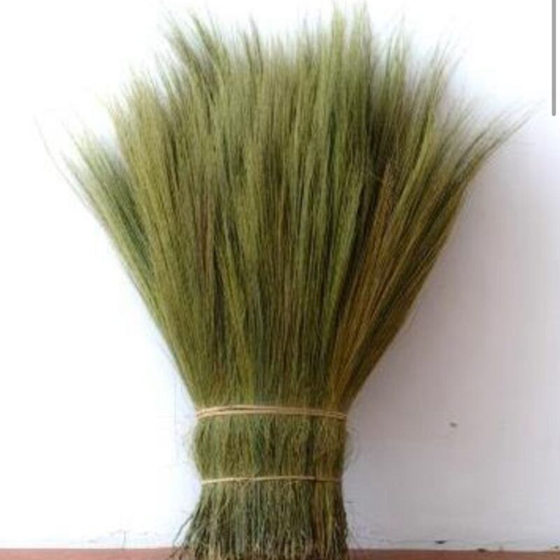 Raw Grass Broom