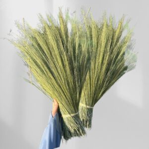 Raw Grass Brrom