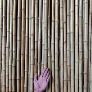 Bamboo supplier