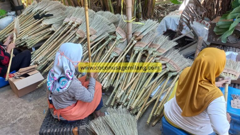 Natural Ekel broom