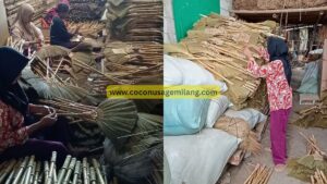sustainable broom from Indonesia